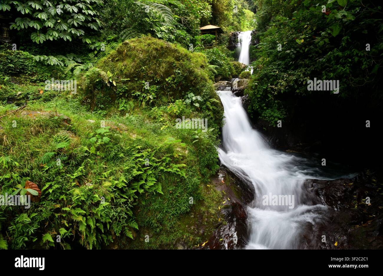 Cascades de Gitgit dans le regence de Buleleng à Bali Banque D'Images