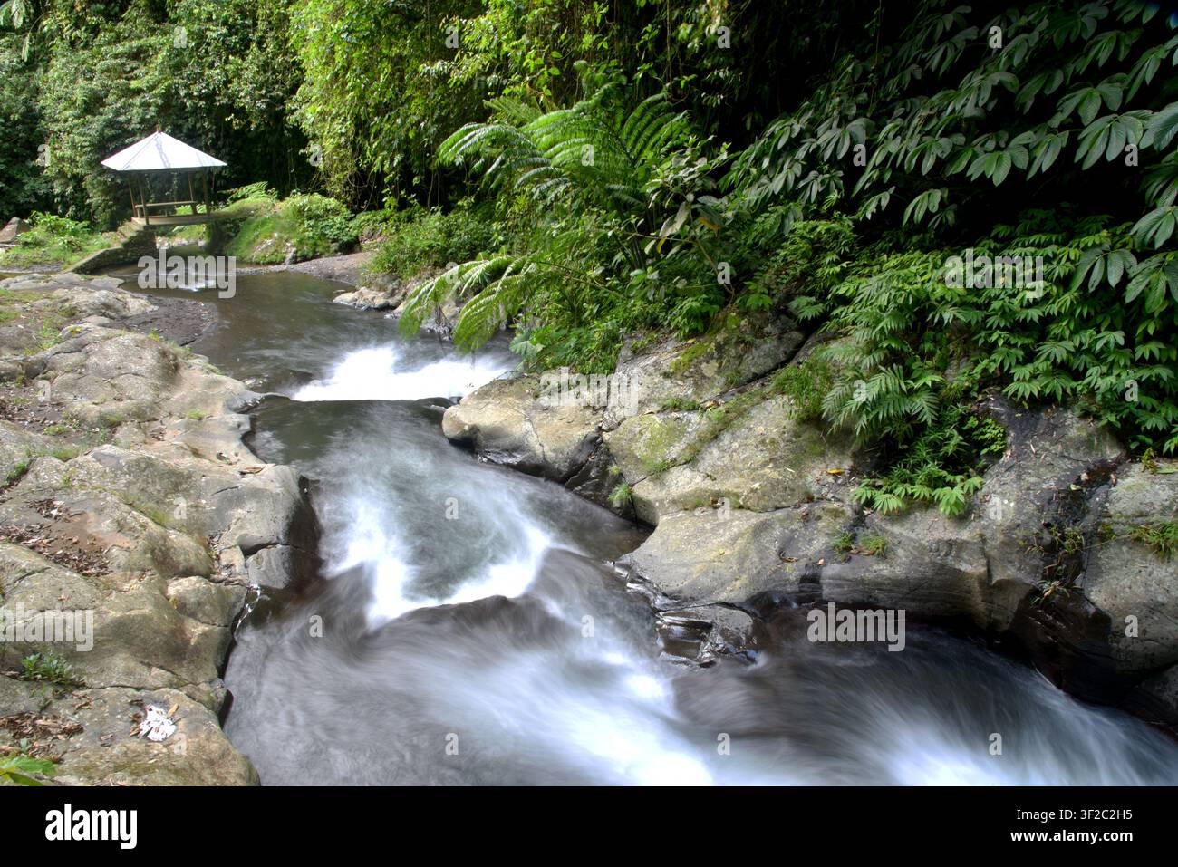 Cascades de Gitgit dans le regence de Buleleng à Bali Banque D'Images