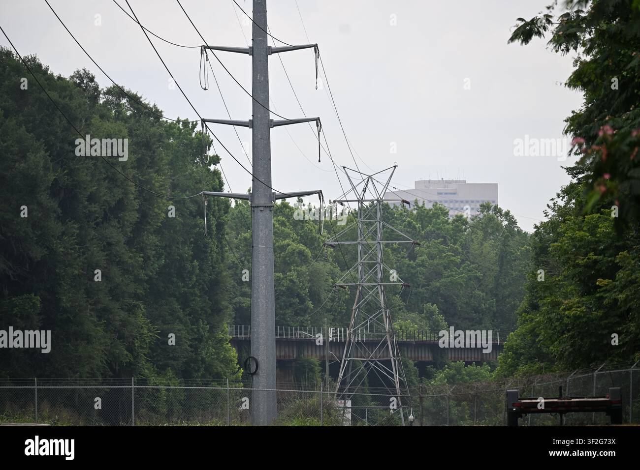 Lignes à haute tension à travers une forêt urbaine à Columbia, Caroline du Sud, États-Unis Banque D'Images