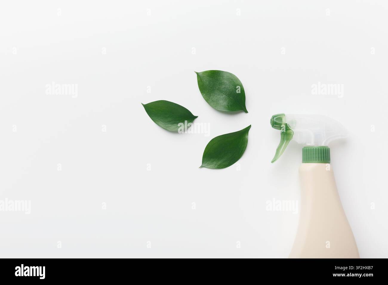 Bouteille pour détergent liquide, agent de nettoyage, avec extrait de plante naturel Banque D'Images