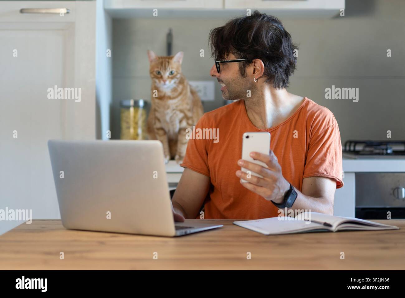 Jeune homme utilisant un ordinateur portable à la table avec chat mignon dans le bureau à domicile Banque D'Images