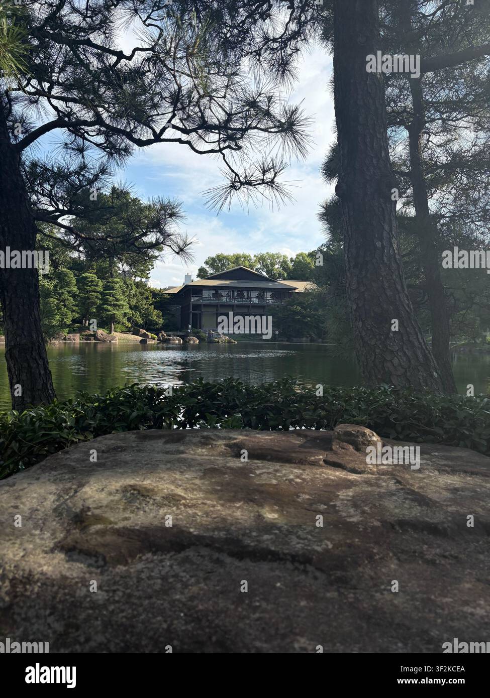 Vue en contre-plongée entre le tronc de pin et le rocher moussu révèle un étang de jardin japonais paisible avec une eau en cascade et une architecture traditionnelle, Nagoya, Japon. Banque D'Images