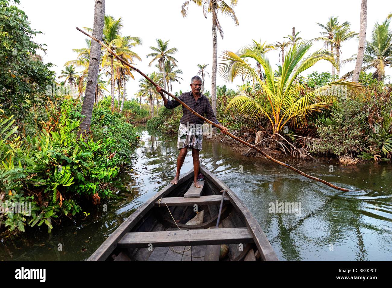 Homme local naviguant dans un bateau en bois traditionnel à travers des canaux étroits entourés d'une végétation tropicale luxuriante dans les backwaters du Kerala, en Inde. Banque D'Images