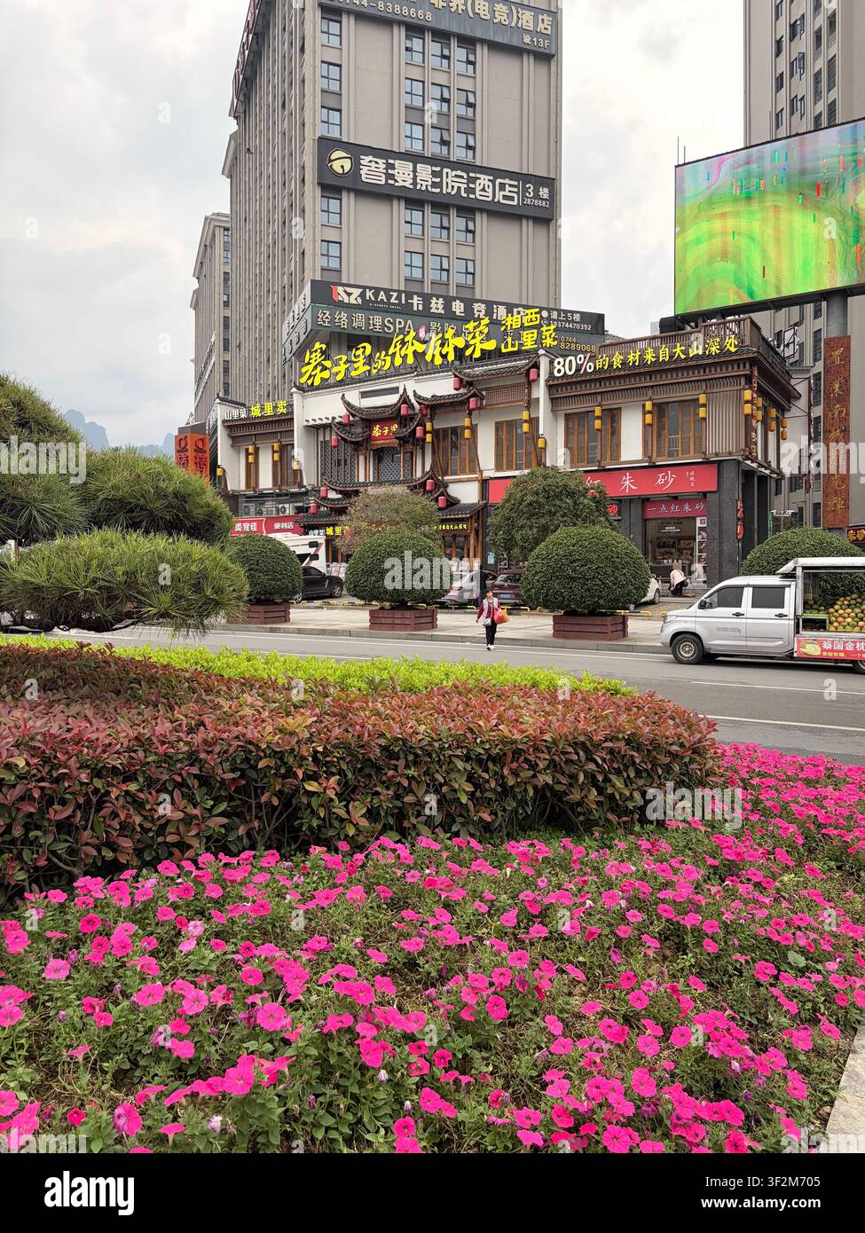 2 novembre 2025, Zhangjiajie, Chine – Rue commerciale colorée du district de Yongding avec des pétunias roses en fleur, des devantures de magasins de style traditionnel et des enseignes chinoises. - Image de stock capturée avec un smartphone