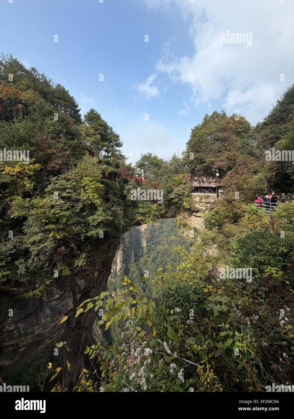 4 novembre 2025, Zhangjiajie, Chine – Des falaises de grès imposantes couvertes d’une forêt verte avec des touristes sur une plateforme d’observation en bois, zone de Luoguta, parc national de Zhangjiajie. - Image de stock capturée avec un smartphone