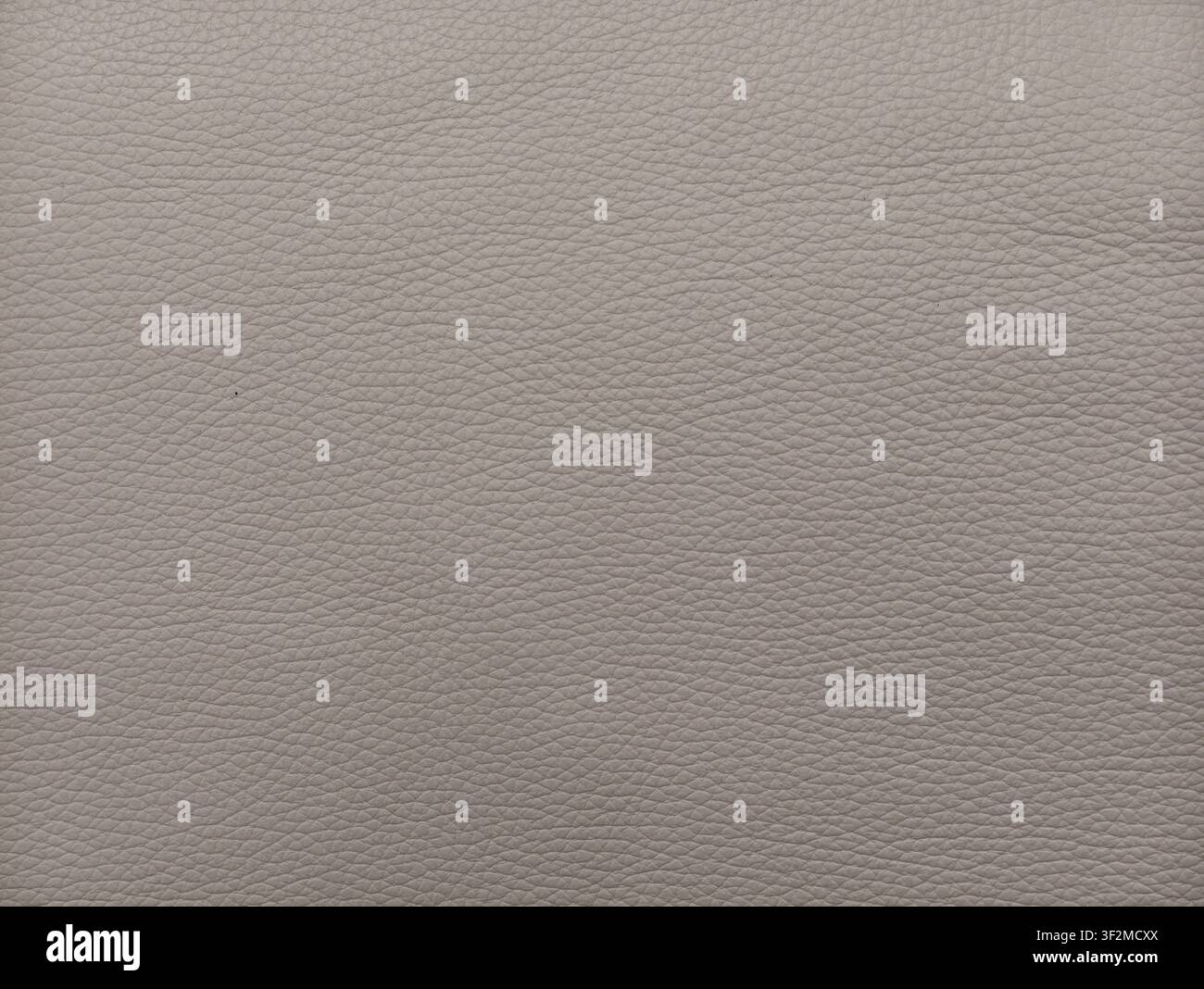 Fond texturé en cuir beige gris avec une grainure fine naturelle Banque D'Images