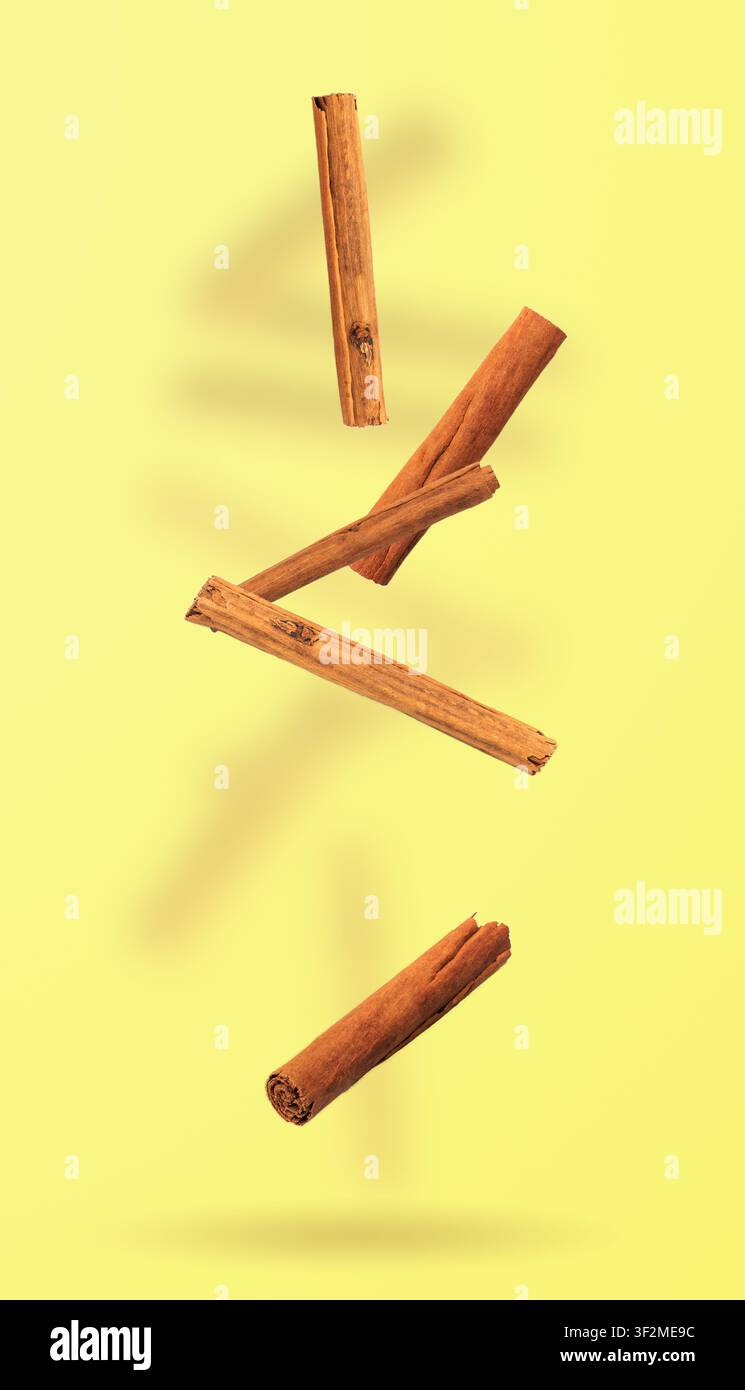 Cannelle de Ceylan tombante isolée, écorce de Cinnamomum Verum, Zeylanicum, Bâtons de cannelle originaux authentiques, Assaisonnement biologique naturel volant, Barre aromatique sèche Banque D'Images