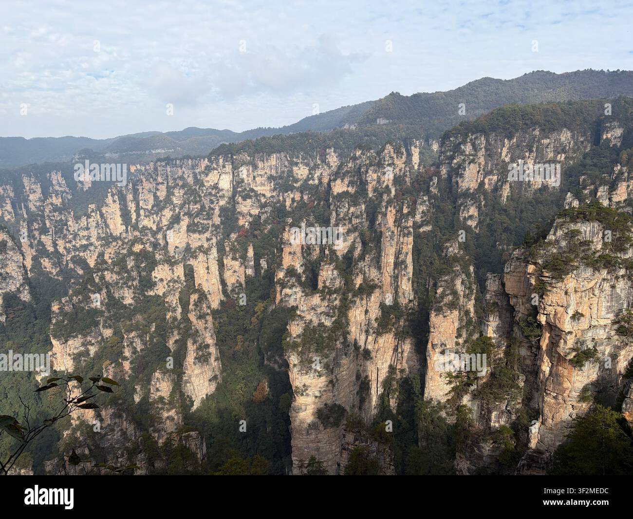 5 novembre 2025, Wulingyuan, Zhangjiajie, Chine – Formations dramatiques de piliers de grès s’élevant d’une vallée boisée à la zone panoramique de Wulingyuan, site du patrimoine mondial de l’UNESCO. - Image de stock capturée avec un smartphone