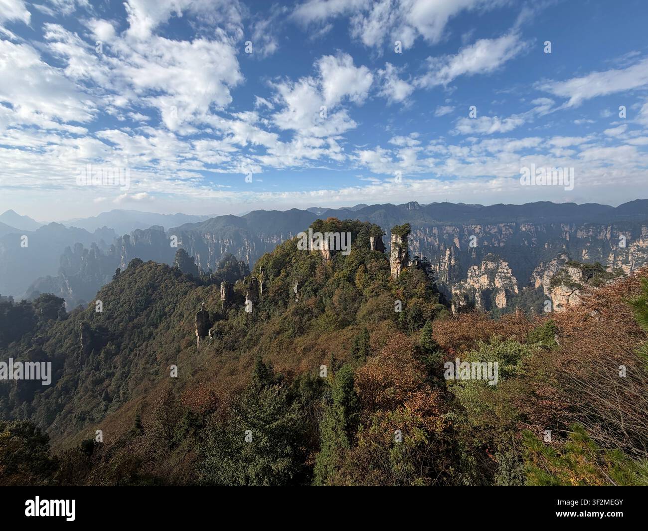 5 novembre 2025, Wulingyuan, Zhangjiajie, Chine – Des formations dramatiques de piliers de grès recouverts de forêt d'automne s'élèvent au-dessus des vallées brumeuses sous un ciel bleu parsemé de nuages. Banque D'Images