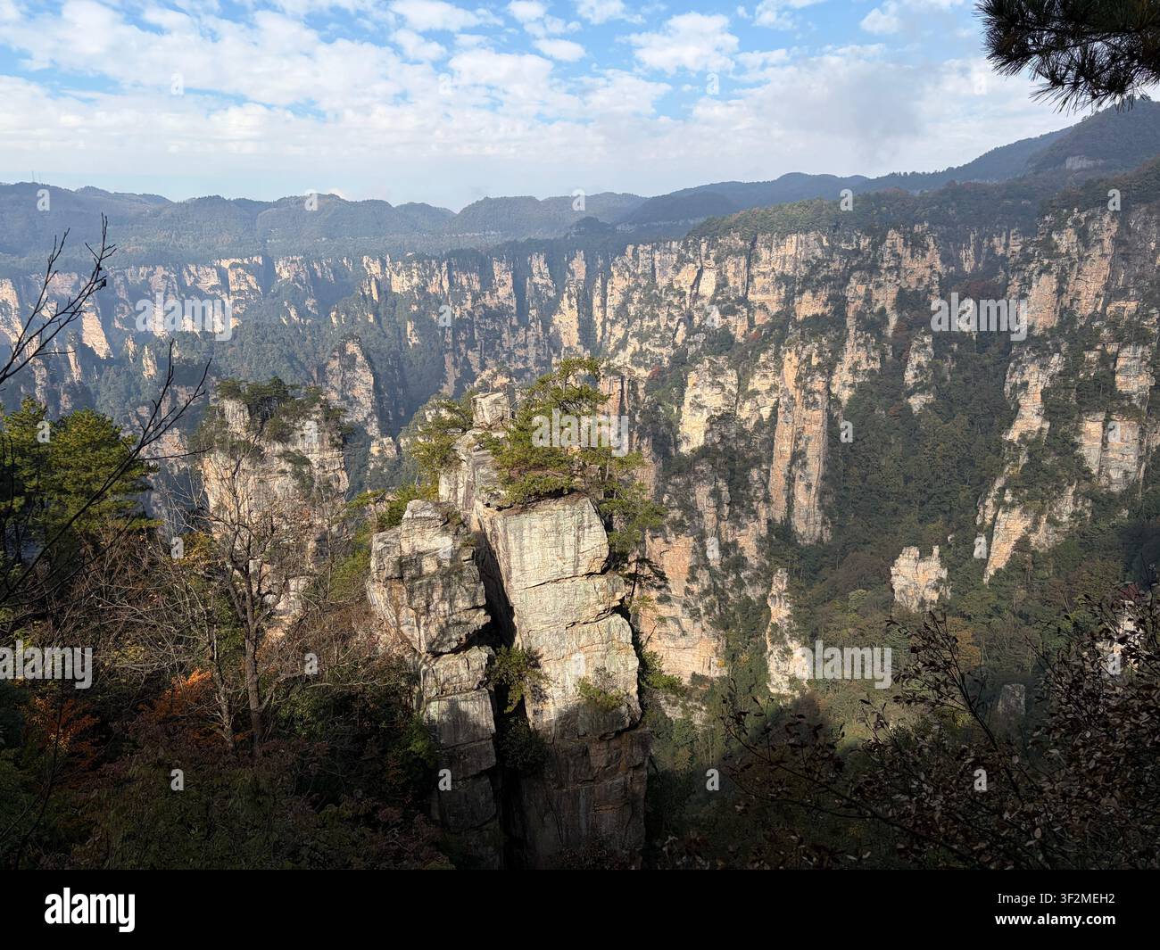5 novembre 2025, Wulingyuan, Zhangjiajie, Chine – Piliers imposants en grès quartzique avec des pins dans la zone pittoresque de Wulingyuan, site du patrimoine mondial de l'UNESCO, province de Hunan. Banque D'Images