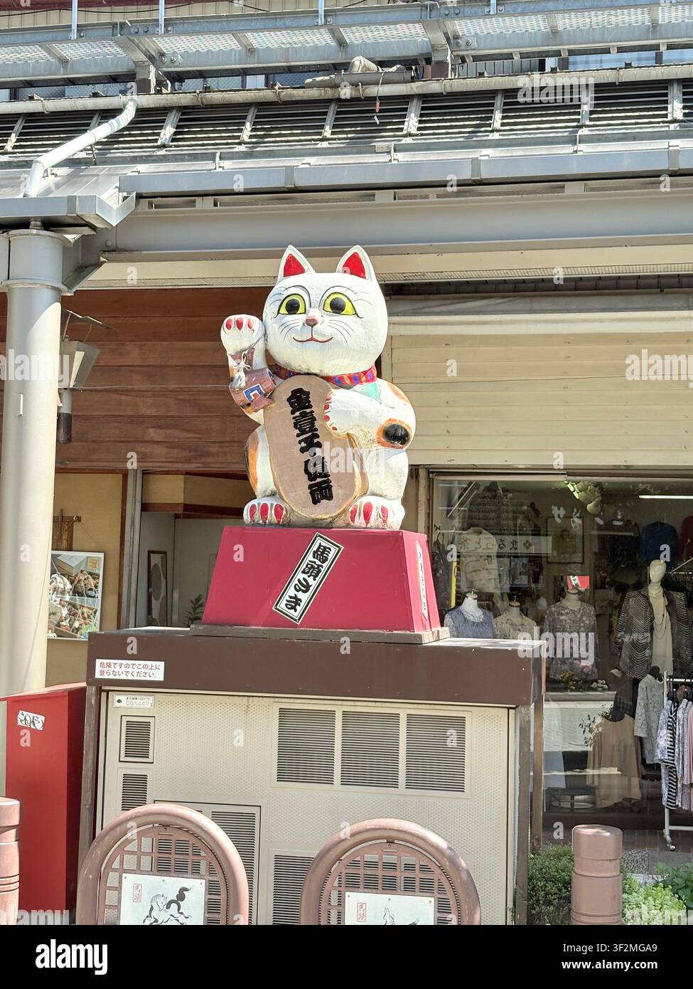 31 août 2025, Takayama, Japon - Grande figurine décorative de chat porte-bonheur maneki-neko tenant un panneau avec une inscription japonaise à la façade d’un magasin traditionnel à Takayama. Banque D'Images