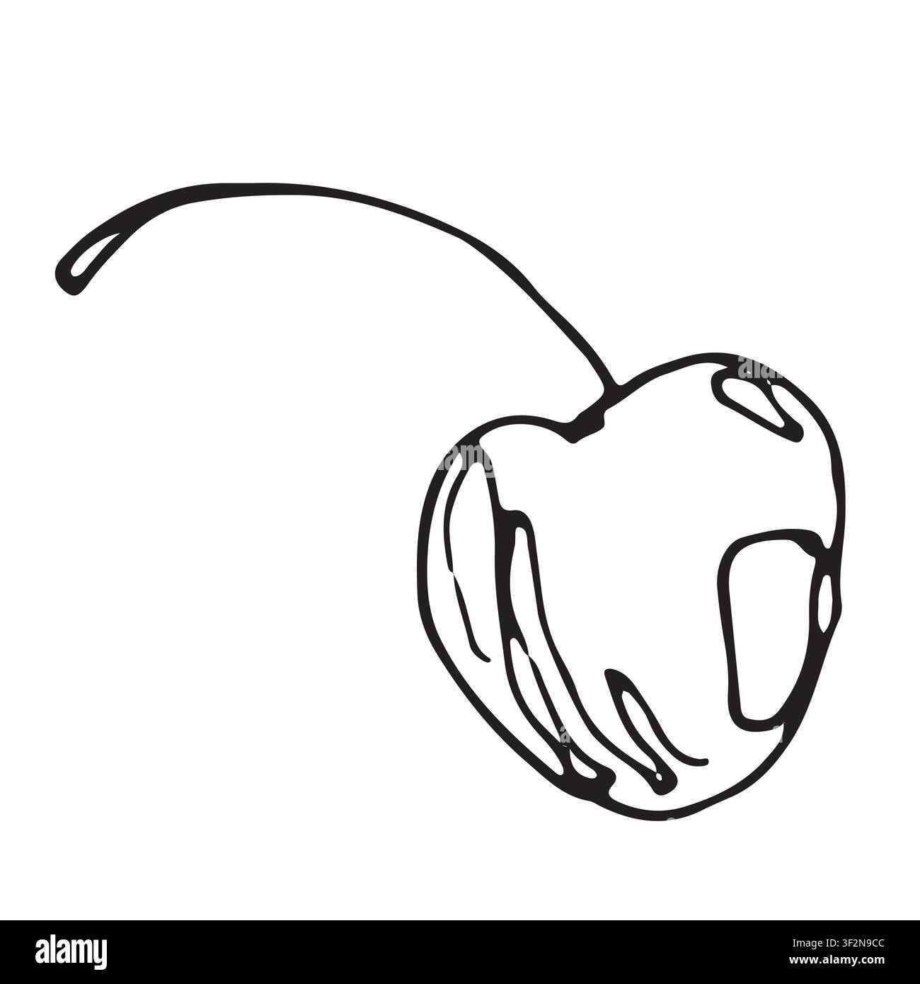 Une esquisse d'une cerise avec un pédoncule dessinée avec un stylo liner. Illustration vectorielle Illustration de Vecteur