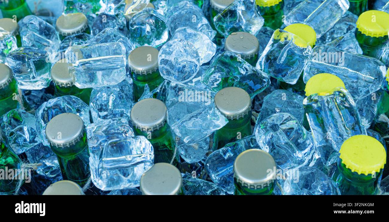 Bouteilles de bière dans des motifs de glaçons, de nombreux bouchons froids dans une boîte, coffre à bière glacé, différentes bouteilles froides, boissons fraîches pour fête d'été dans le réfrigérateur Banque D'Images