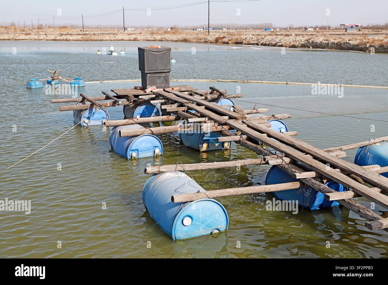 Une plateforme de travail flottante simple construite à partir de barils en plastique bleus et de vieilles planches de bois dans un étang d'aquaculture en Chine du Nord, utilisée pour le quotidien B Banque D'Images