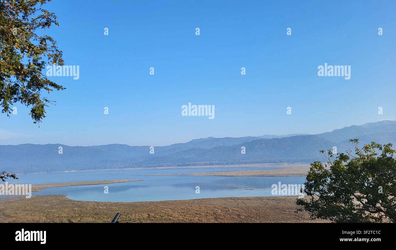 Vallée fluviale pittoresque avec un paysage verdoyant dans la zone de Dhikala du parc national de Jim Corbett, Uttarakhand, Inde - Image de stock capturée avec un smartphone