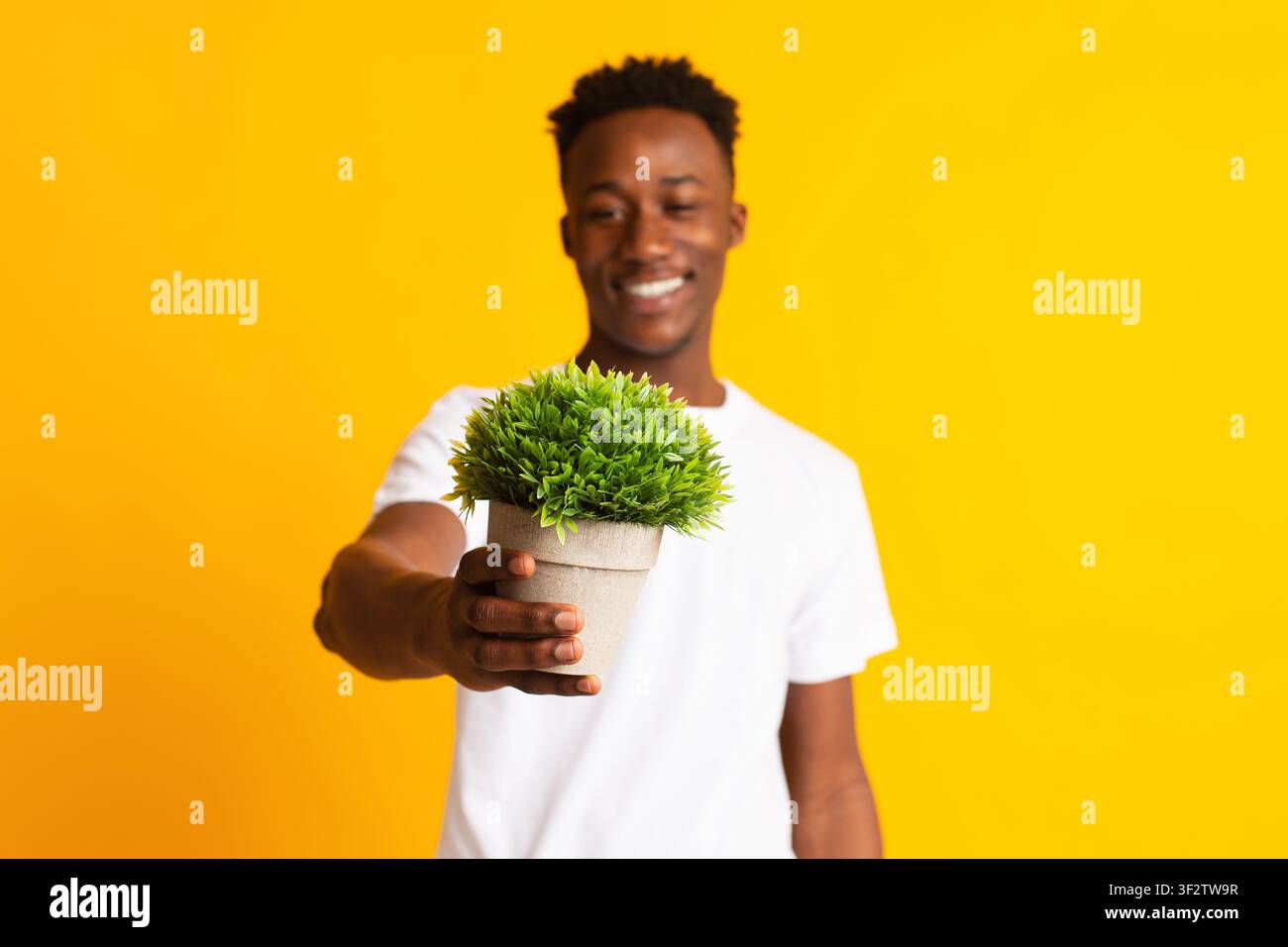 Beau gars africain souriant tenant la plante verte dans les mains Banque D'Images