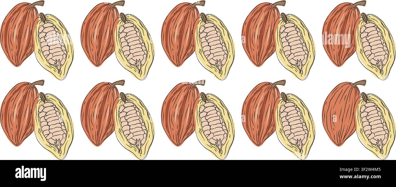 illustrations sans couture de fèves de cacao, ensemble vectoriel propre idéal pour l'emballage, l'étiquette et la conception de produits, illustration vectorielle d'un ensemble de tranches de fèves de cacao Illustration de Vecteur