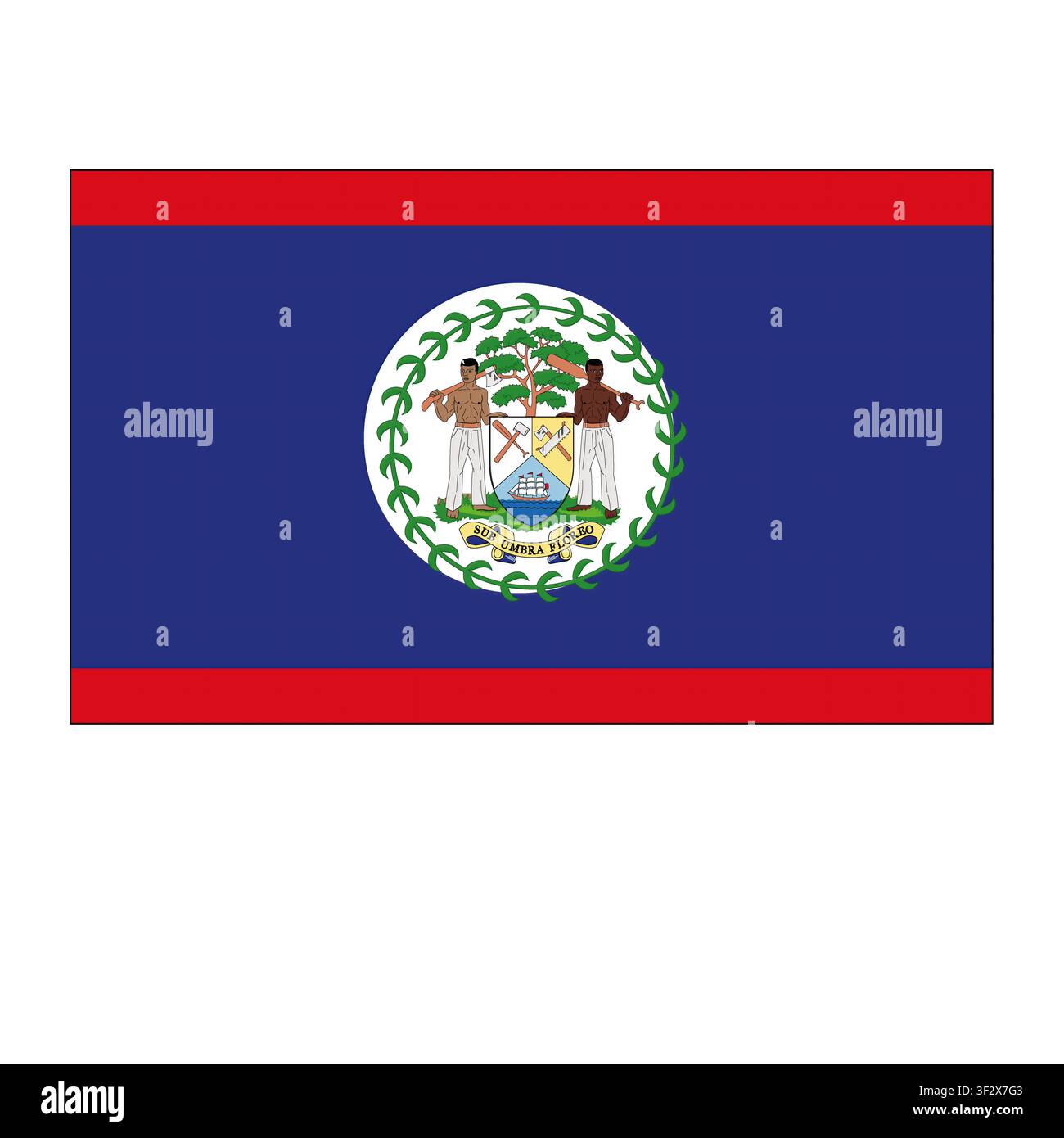 Le drapeau du Belize sur fond blanc. Banque D'Images