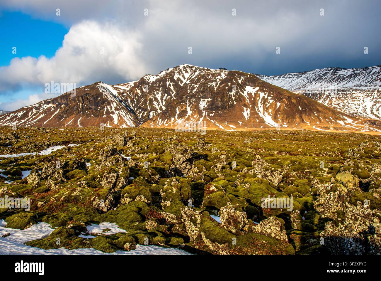 Un champ de lave volcanique ancien entièrement recouvert de mousse verte douce s'étend au premier plan. À l'arrière-plan, une majestueuse chaîne de montagnes striée Banque D'Images