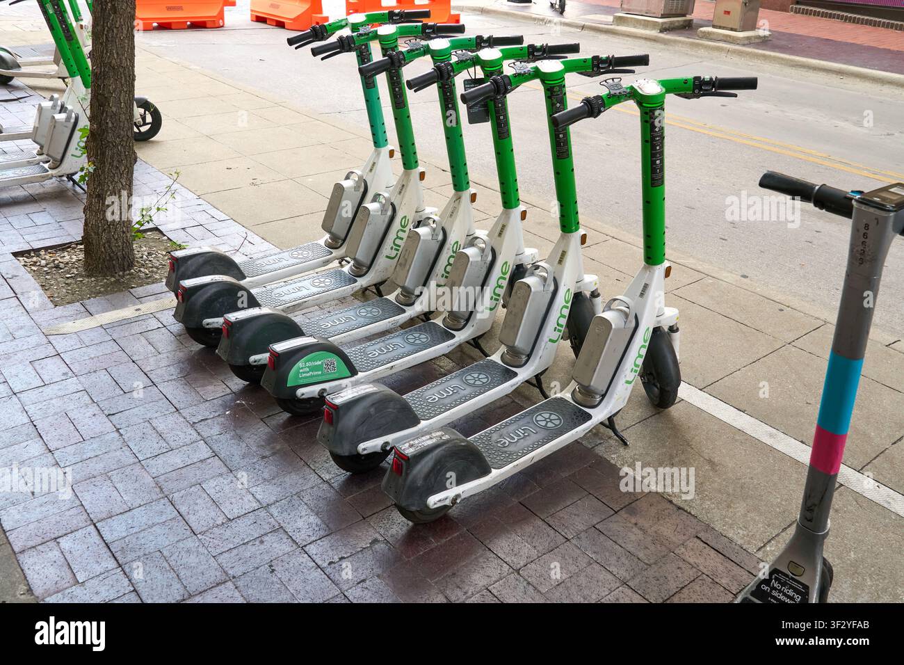 DALLAS, TX, ÉTATS-UNIS - 11 JUIN 2026 : Une rangée de scooters électriques Lime garés soigneusement sur un trottoir urbain à Dallas. Les scooters Lime sont populaires pour les trajets urbains courts Banque D'Images