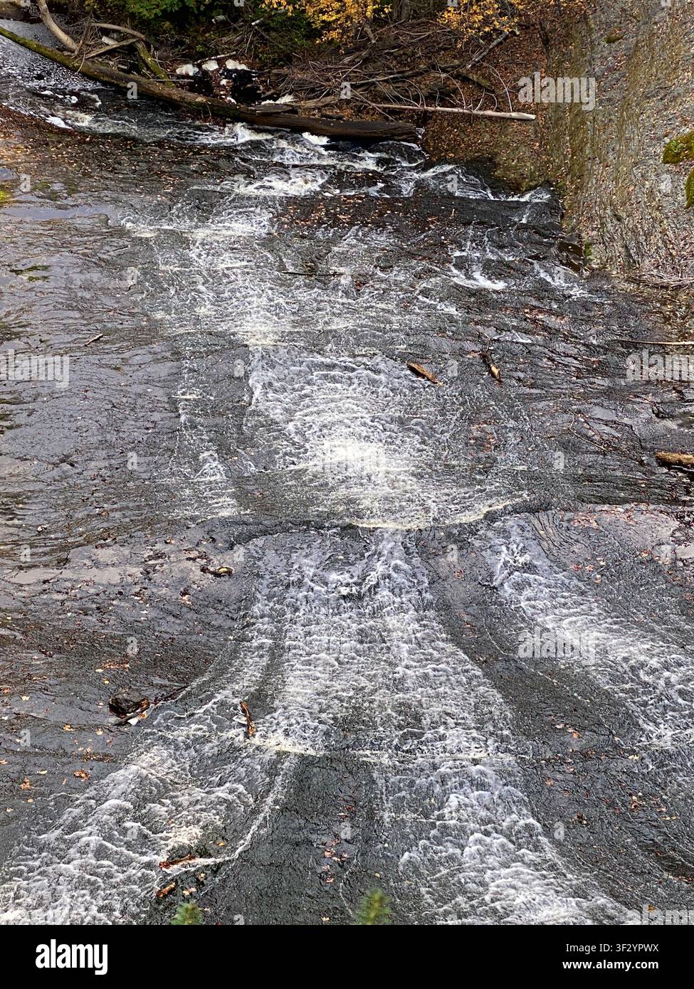 Vue depuis le bas de la cascade de Laughing Whitefish, entourée de forêt, dans la zone panoramique de Laughing Whitefish Falls, Rock River, Michigan, États-Unis - Image de stock capturée avec un smartphone