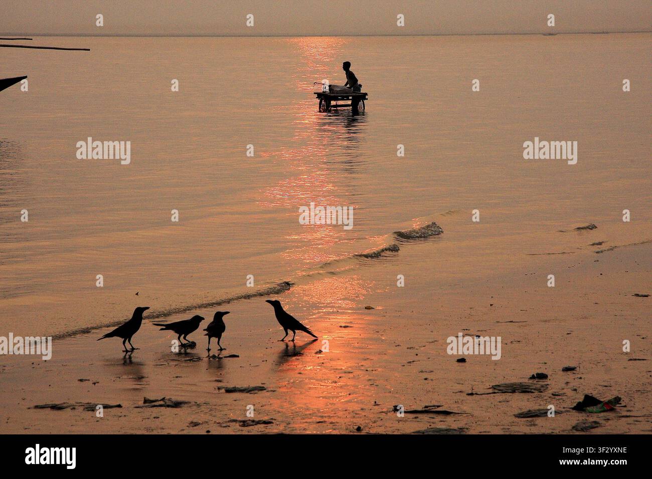 Un homme avec son fourgon pousse-pousse attend dans les eaux peu profondes d'une rive de rivière, pour être transporté de l'autre côté de la rivière par bateau. Bangladesh. Banque D'Images