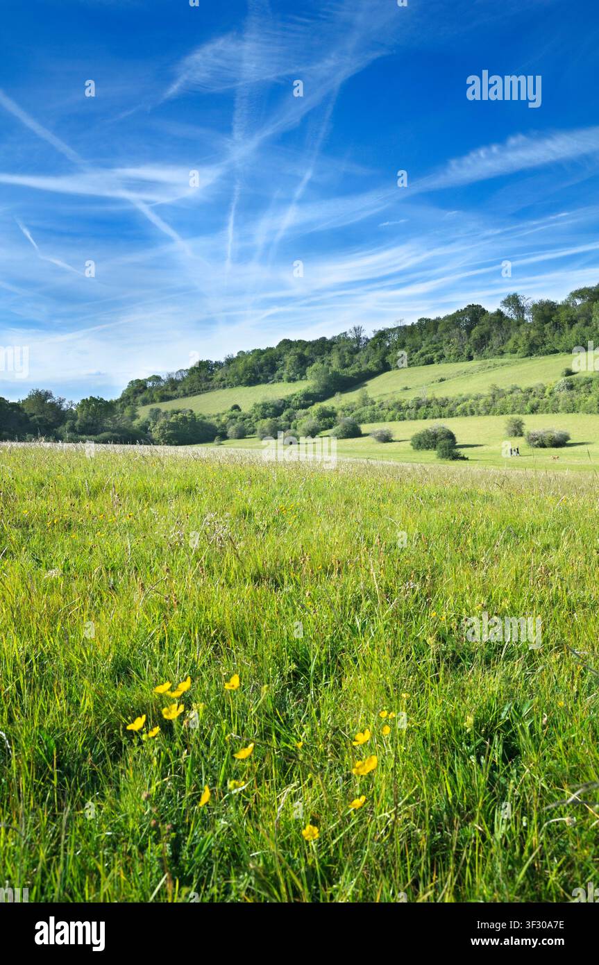 Happy Valley Park, une zone de campagne ouverte avec 250 acres de prairies de plaine, des pentes boisées et une vallée sèche à flancs abrupts au centre de Coulsdon, Royaume-Uni Banque D'Images
