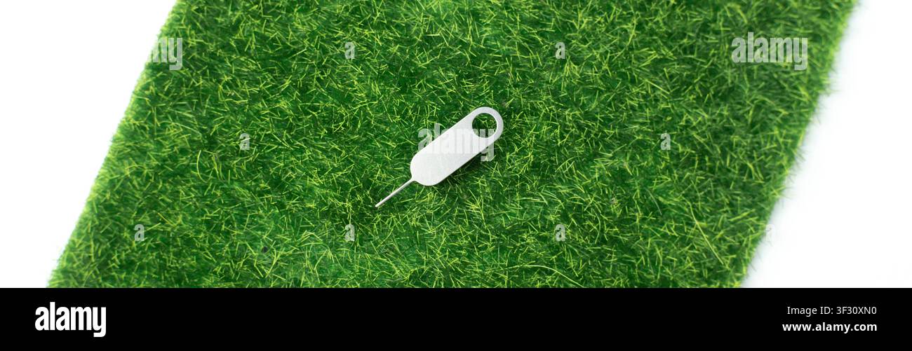 Petit outil d'éjection de carte SIM posé sur un fond d'herbe verte, adapté comme accessoire pour smartphone, technologie mobile, carte SIM également Banque D'Images
