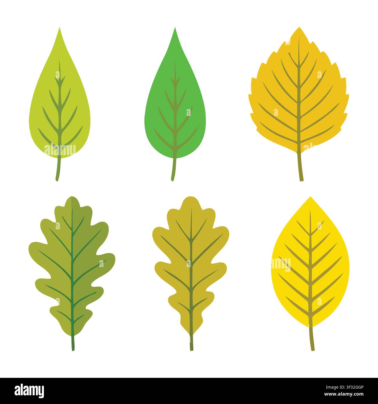 Illustration vectorielle stylisée et lumineuse de six feuilles d'automne différentes aux couleurs vives, parfaite pour les designs et projets saisonniers. Illustration de Vecteur