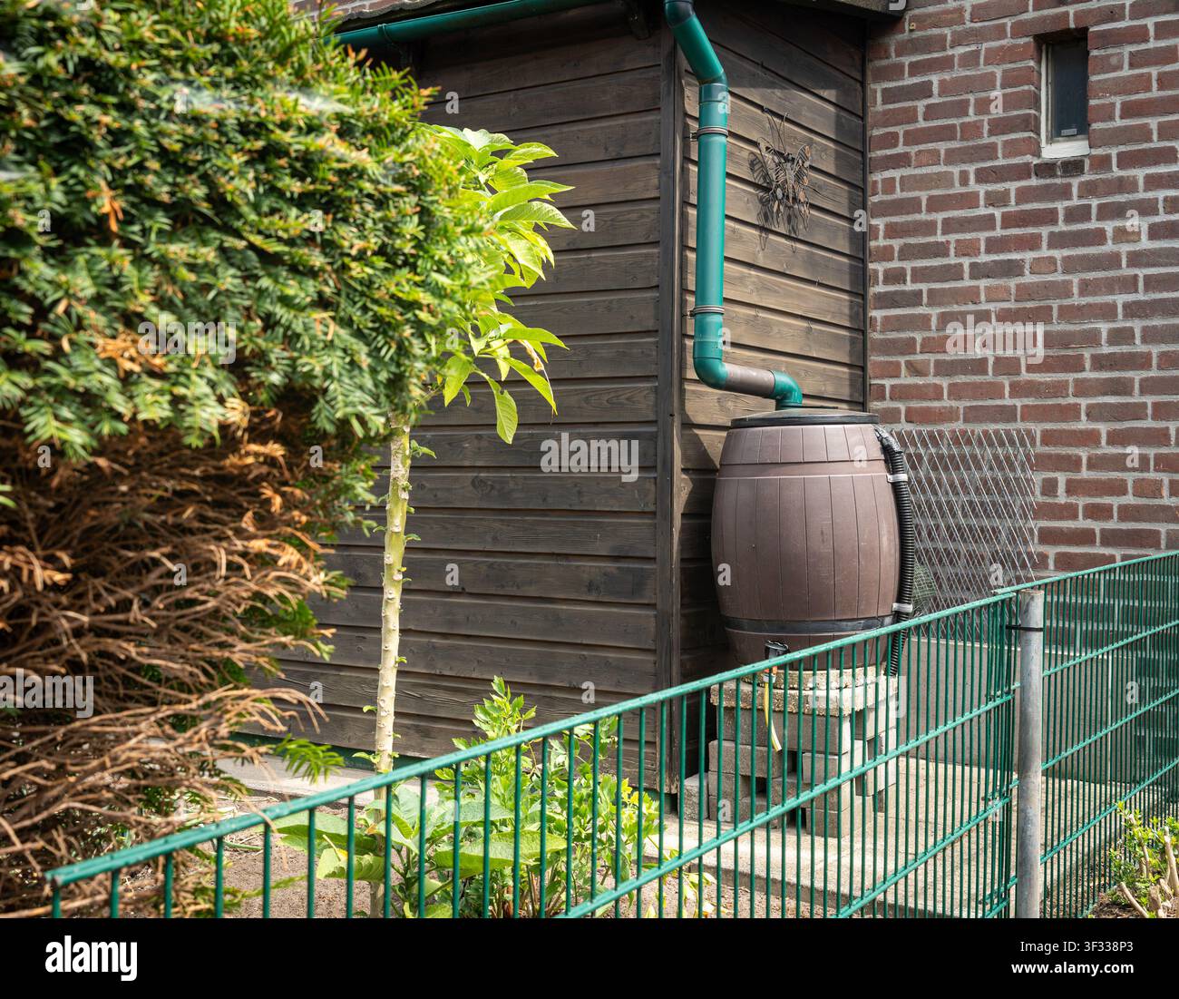 Baril à pluie collectant les eaux de ruissellement du toit dans le jardin d'une maison moderne aux Pays-Bas Banque D'Images