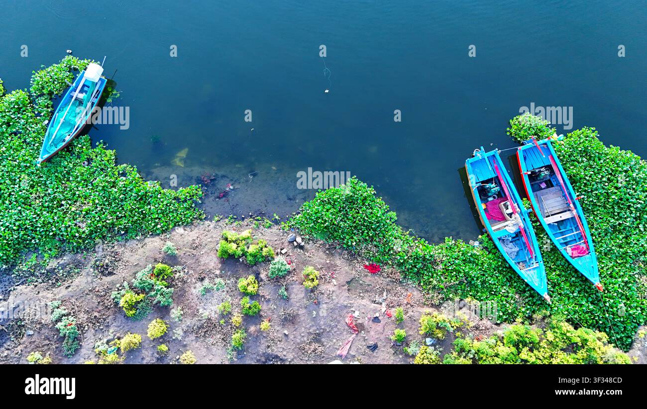Bateaux de pêche colorés amarrés le long d'une rive verte capturés depuis un drone Banque D'Images