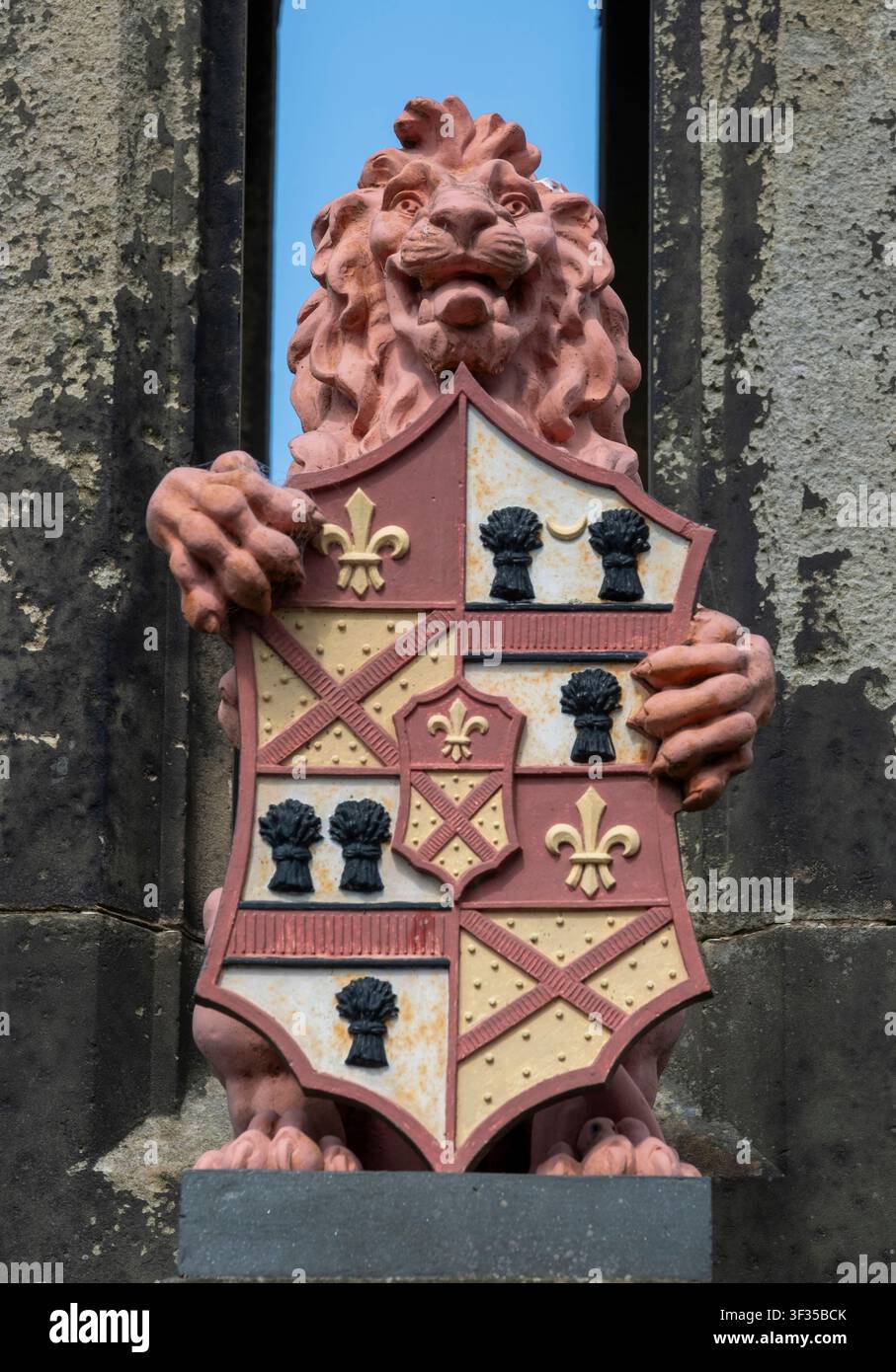 Un blason sur la fontaine Bruce située sur la place principale de Falkland, Fife, Écosse. Banque D'Images