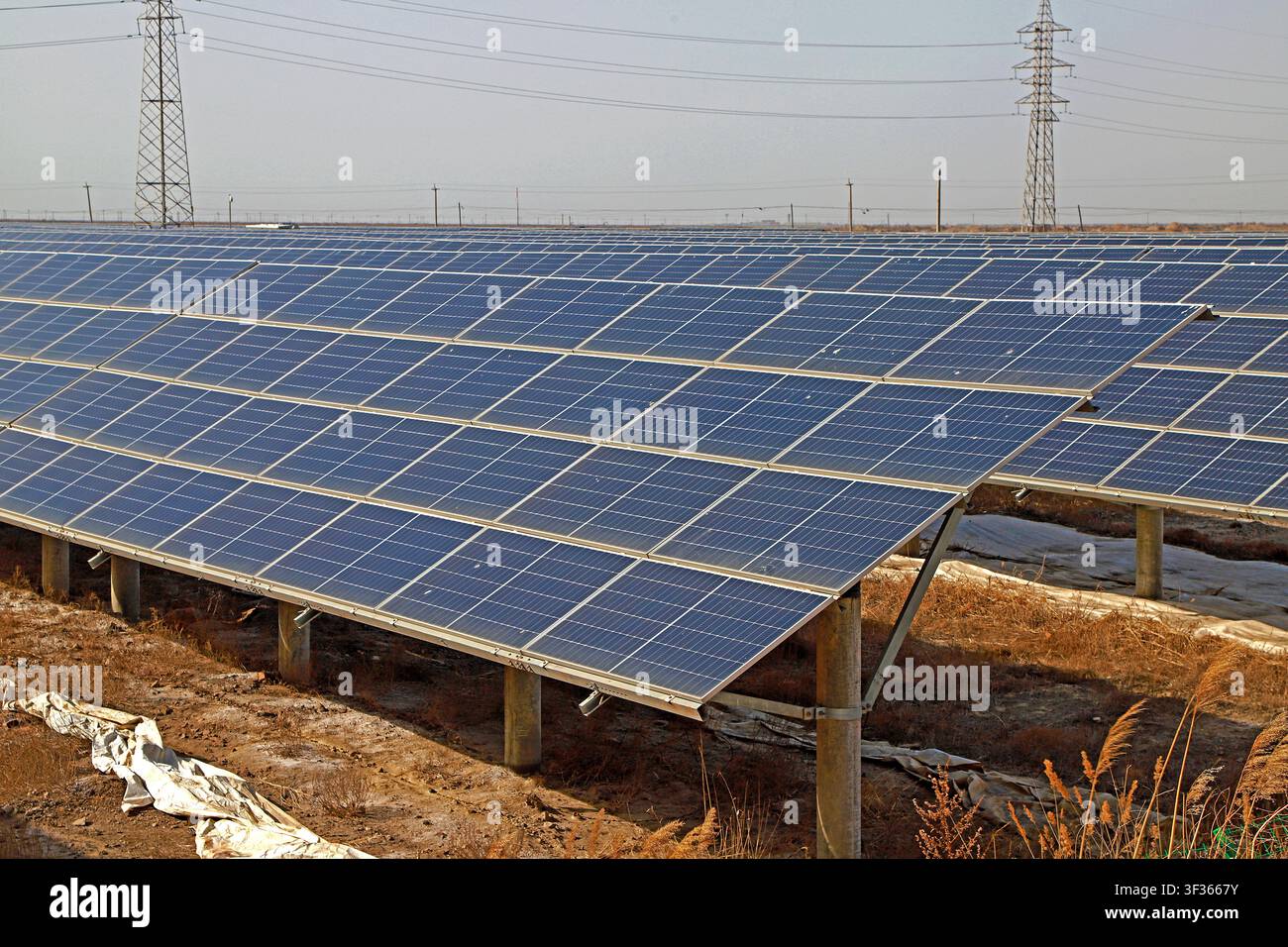 Grand plan d'une centrale solaire photovoltaïque à grande échelle présentant des rangées de panneaux solaires bleus installés sur des supports métalliques, dans un paysage sec et doré Banque D'Images