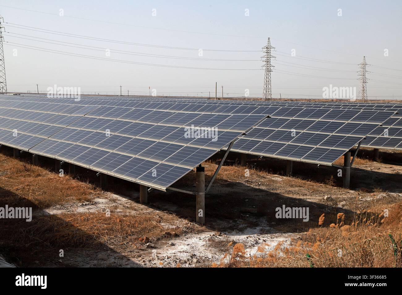 Grand plan d'une centrale solaire photovoltaïque à grande échelle présentant des rangées de panneaux solaires bleus installés sur des supports métalliques, dans un paysage sec et doré Banque D'Images