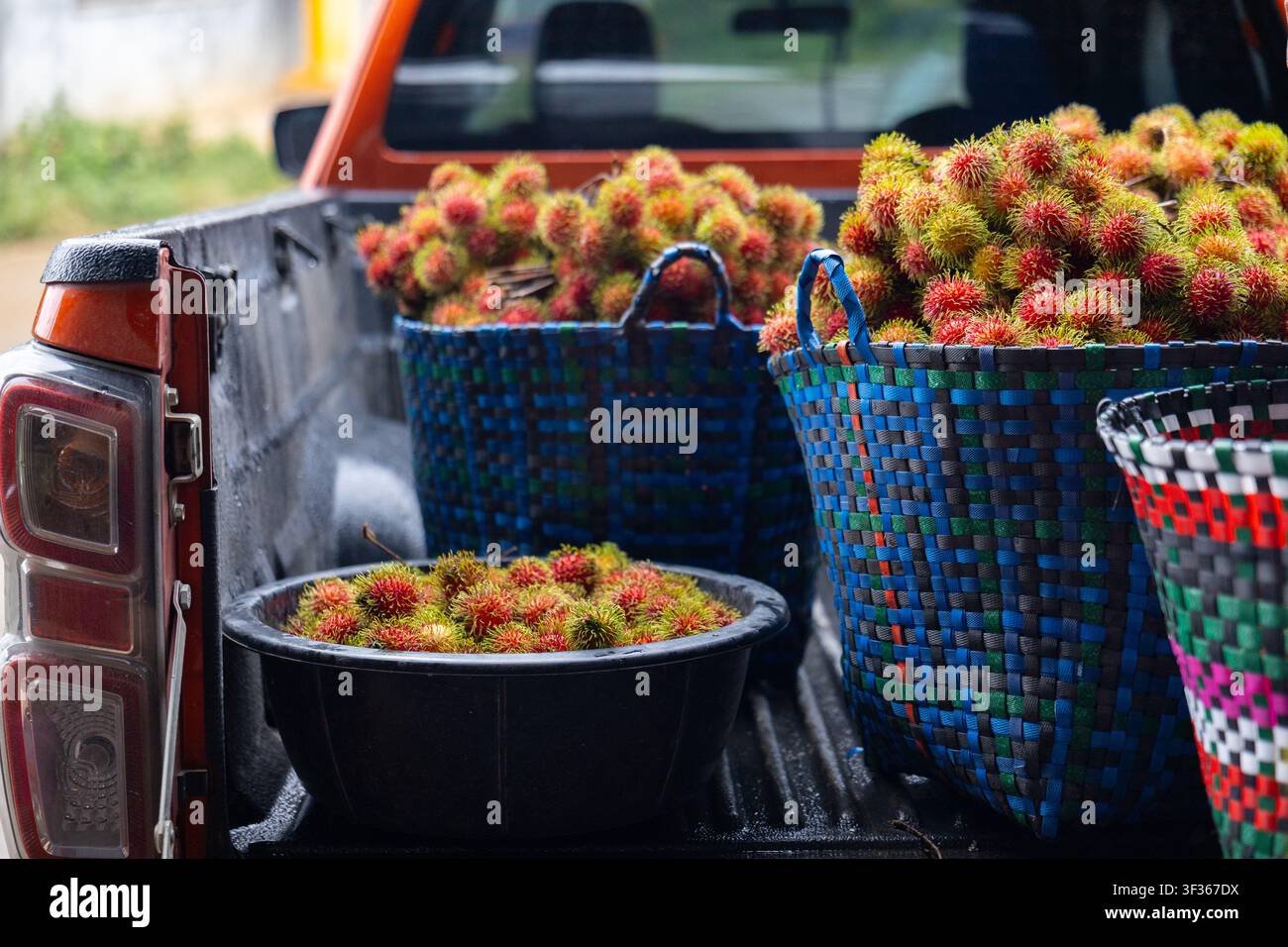 Un fruit de ramboutan dans des paniers tissés et un bac en plastique remplissant le plateau d'un pick-up, récolte tropicale colorée et transport de marché capturés avec une lumière naturelle Banque D'Images
