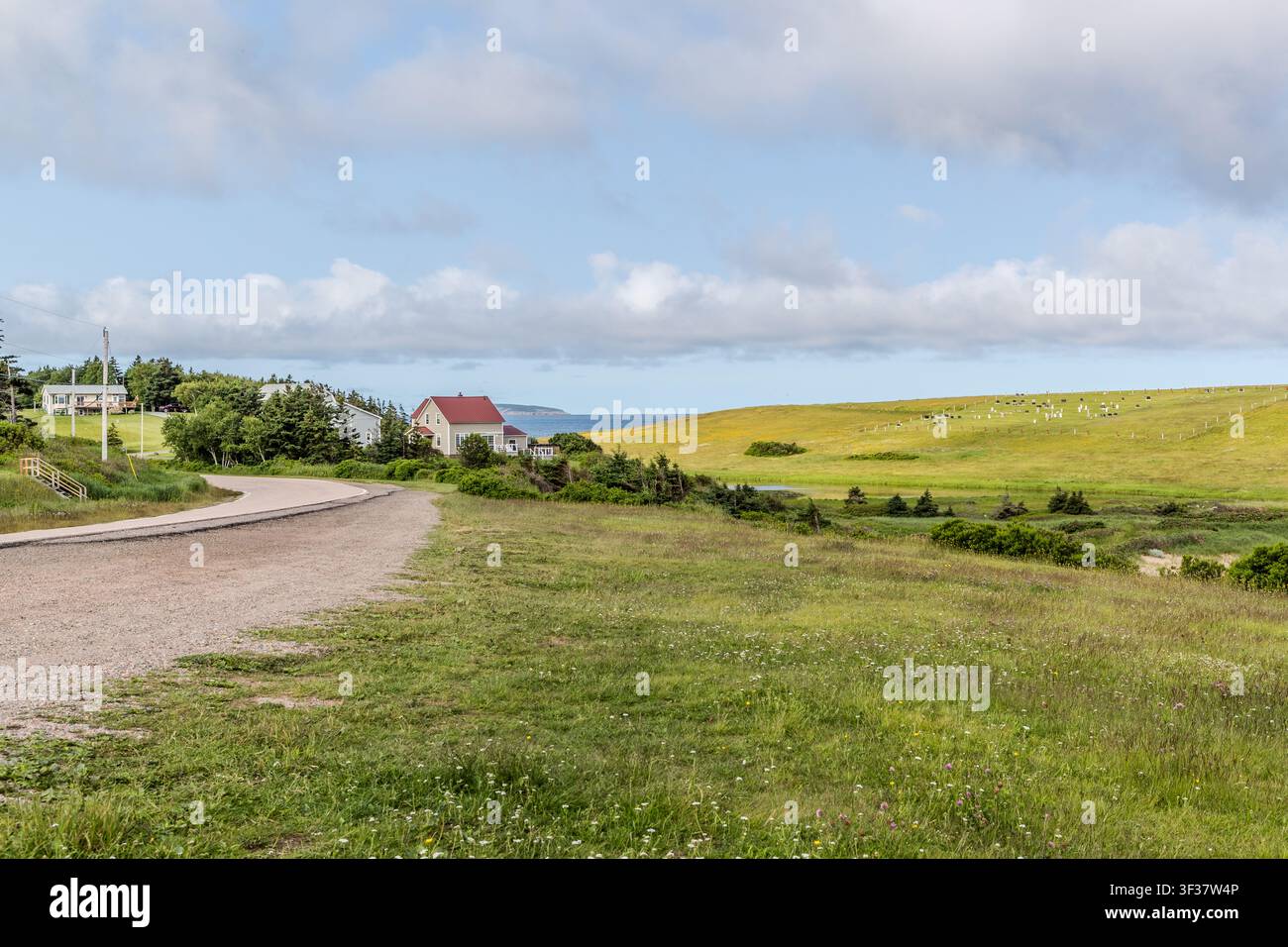 Une route passe devant des maisons résidentielles jusqu'au cimetière sur Shore Road à Margaree Harbour, Île du Cap-Breton, Nouvelle-Écosse, Canada. Les pierres tombales apparaissent comme des taches pâles sur la colline verte en arrière-plan. Margaree Harbour, Nouvelle-Écosse, Canada Banque D'Images