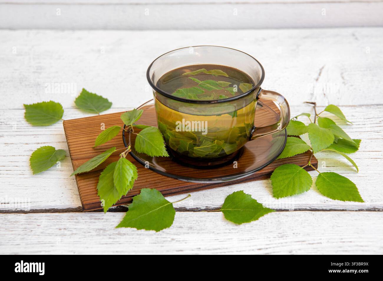 Thé de feuilles de bouleau, Betula servi dans une tasse en verre clair sur un fond de planche de bois blanc, avec des feuilles de bouleau fraîches et des branches pour la décoration. Banque D'Images