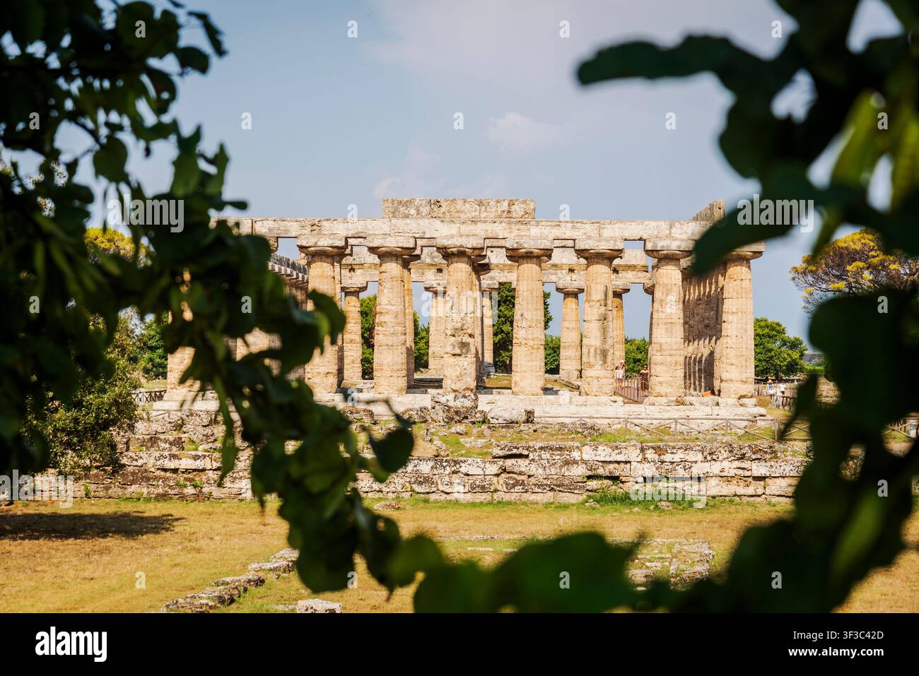 Le parc archéologique de Paestum. Temple d'Athéna. Banque D'Images