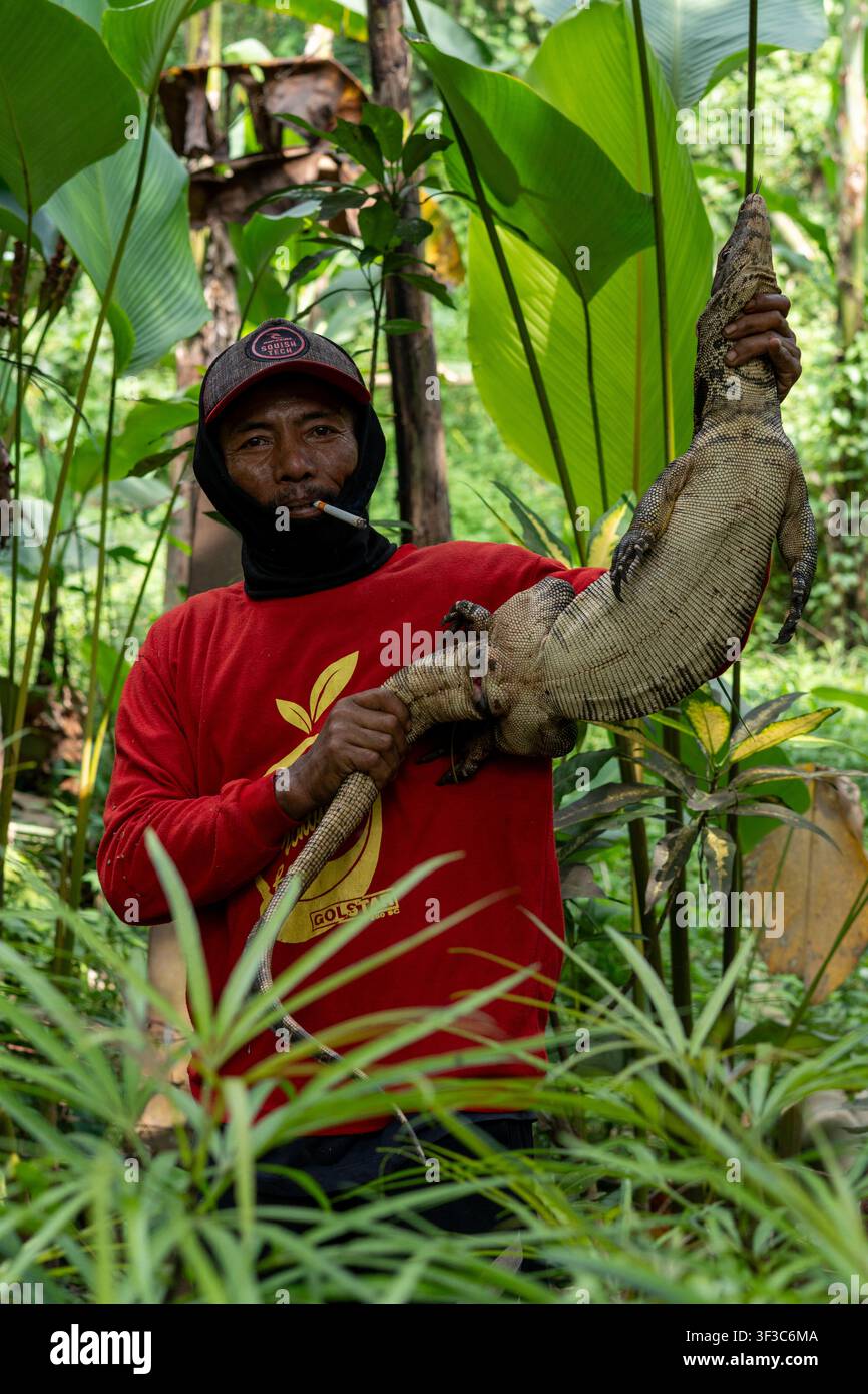 Un chasseur tenant un varan d'eau asiatique capturé dans un jardin de resort privé à Malang, en Indonésie, un après-midi. Banque D'Images