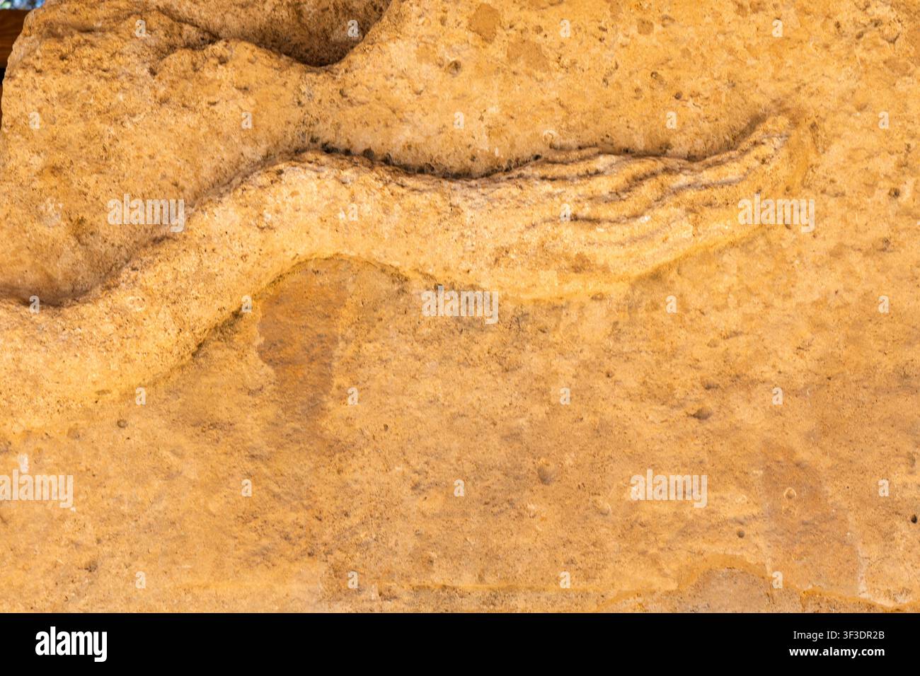 Bloc de sculpture de fronton avec queue de lion, Vallée des Temples, Agrigente, Sicile, Italie Banque D'Images