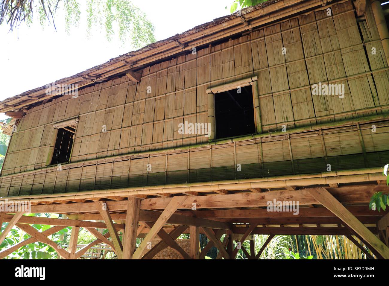 Maison traditionnelle en bambou surélevée avec architecture rustique dans le sud-est asiatique rural Banque D'Images