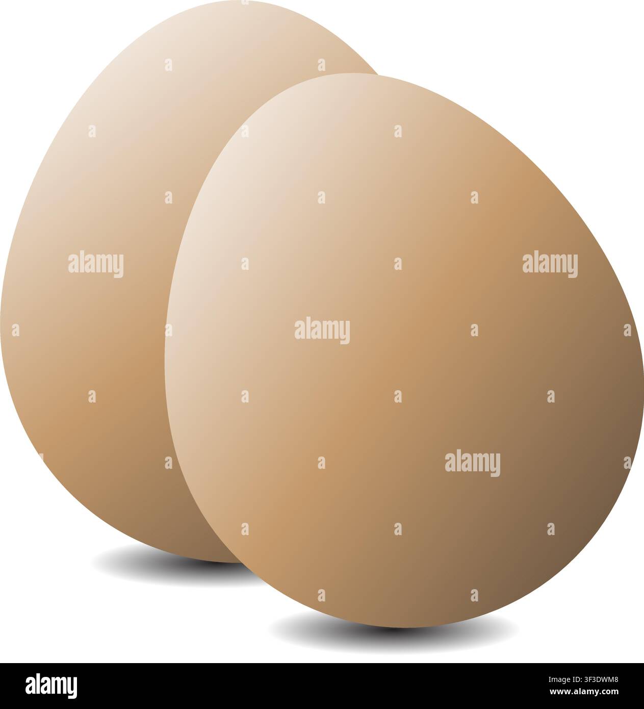 Une illustration réaliste de deux œufs de poulet bruns frais placés côte à côte avec des ombres douces sur un fond blanc isolé. Illustration de Vecteur