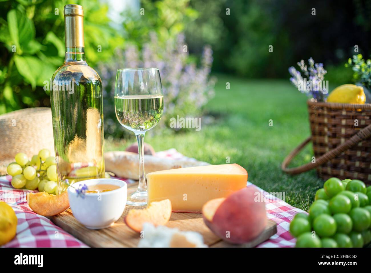 Pique-nique d'été élégant en plein air avec vin blanc, fromage, pêches fraîches, raisins, miel et pain sur une couverture à carreaux dans un jardin luxuriant. Semaine cosy Banque D'Images