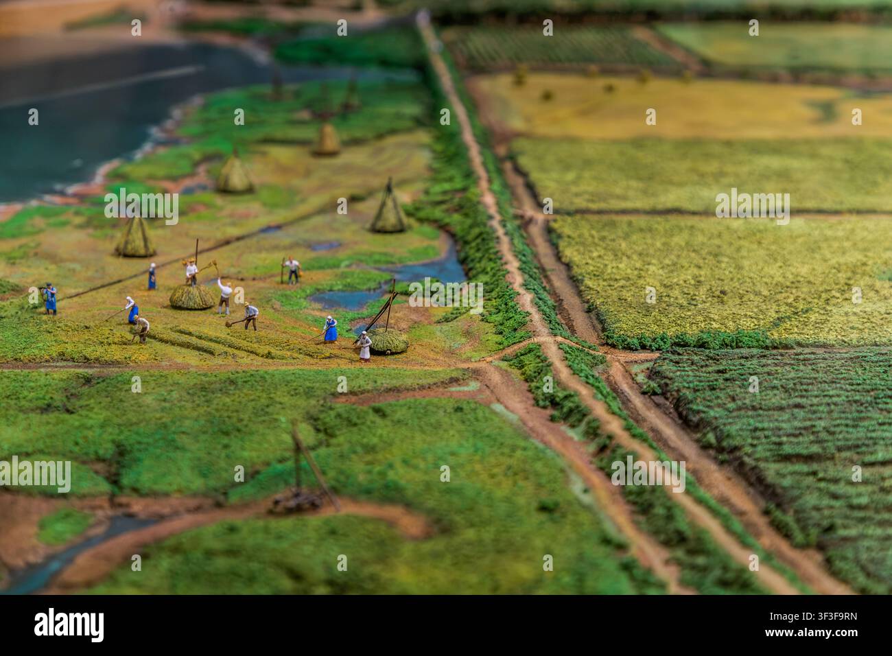 Un diorama dans l'exposition du site historique national du Grand-Pré en Nouvelle-Écosse, au Canada, représente des figurines miniatures récoltant du foin sur les anciennes marais des Acadiens. Il illustre la technique de construction de digues utilisée par les colons français au XVIIe siècle pour récupérer des terres agricoles des vasières de la baie de Fundy ; le ‚Paysage de Grand-Pré‘ est classé au patrimoine mondial de l'UNESCO depuis 2012 Banque D'Images