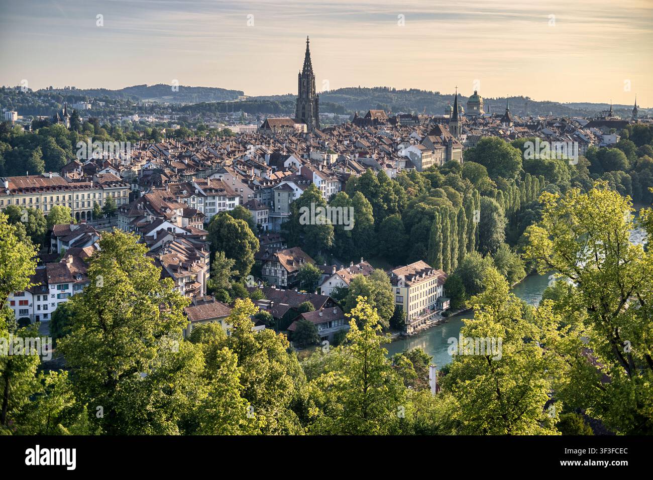 Une vue panoramique depuis le Rosengarten à Berne, en Suisse, montrant la vieille ville historique avec ses toits denses, le Münster gothique de Berne, une végétation luxuriante et le Banque D'Images