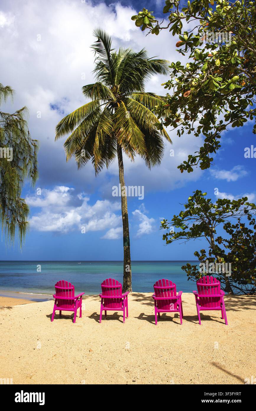 Chaises de plage roses, East Winds Hotel, Castries, Saint Lucia, Petites Antilles, Antilles, Caraïbes Banque D'Images