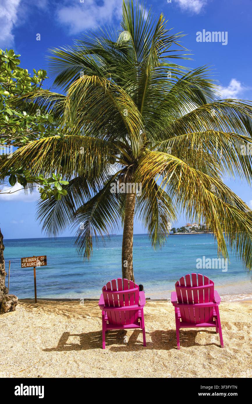 Chaises de plage roses, East Winds Hotel, Castries, Saint Lucia, Petites Antilles, Antilles, Caraïbes Banque D'Images