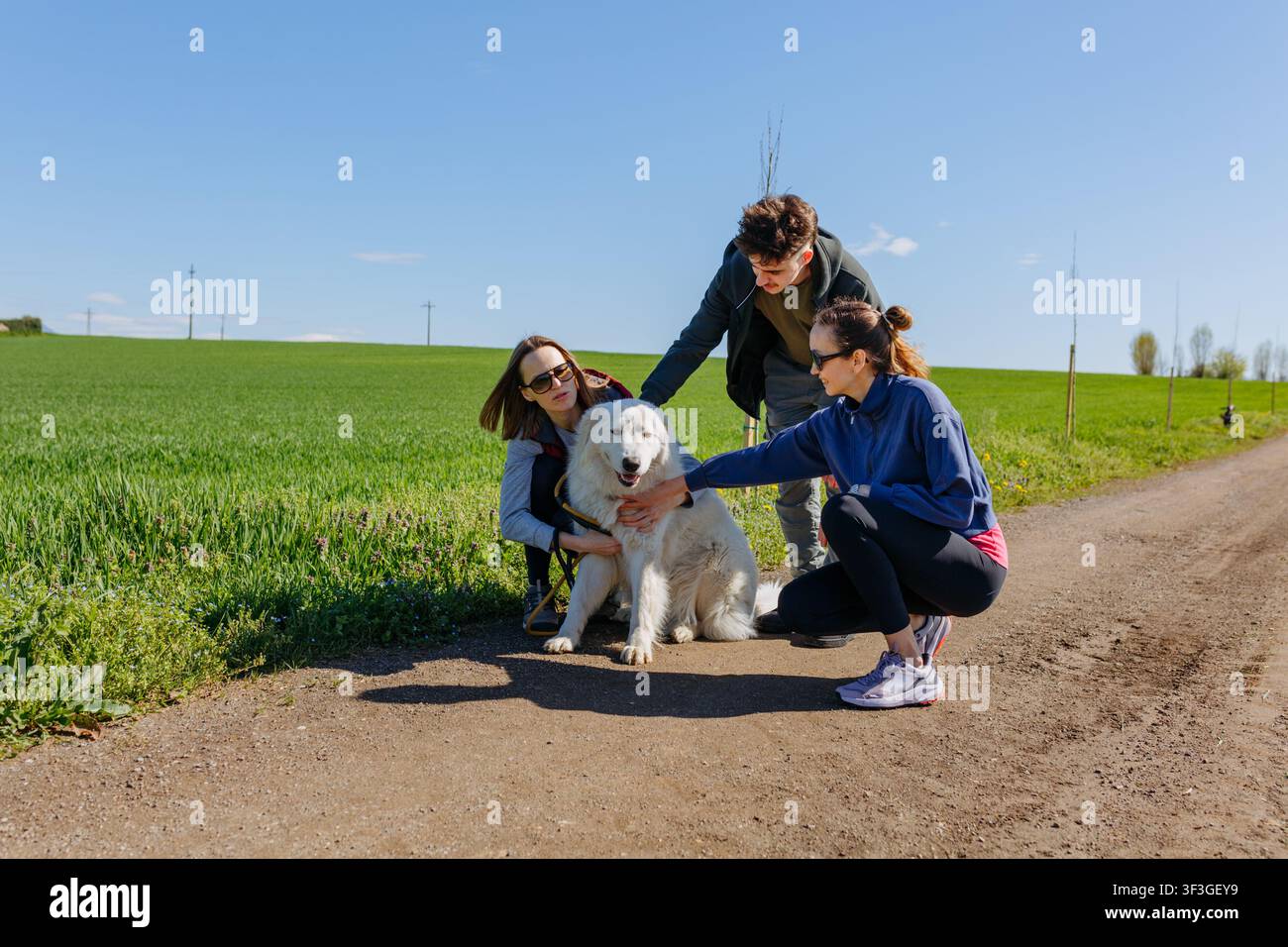 Groupe d'amis caressant un chien de Maremme lors d'une promenade à la campagne par une journée ensoleillée Banque D'Images