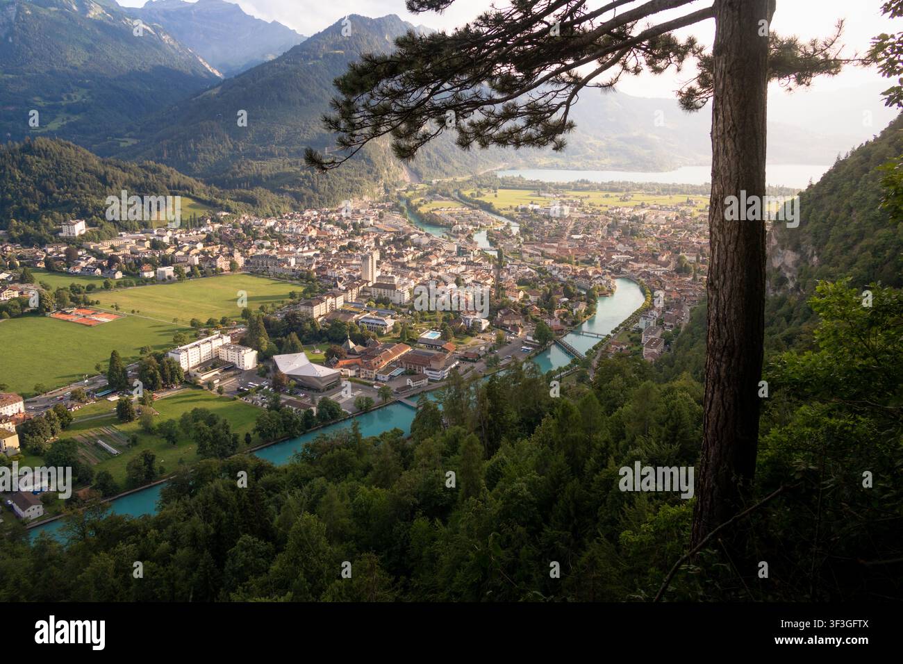 Une vue panoramique estivale depuis le Harder Kulm sur Interlaken et la rivière Aare, encadrée par des pins et les Alpes bernoises. Le paysage présente lusche Banque D'Images