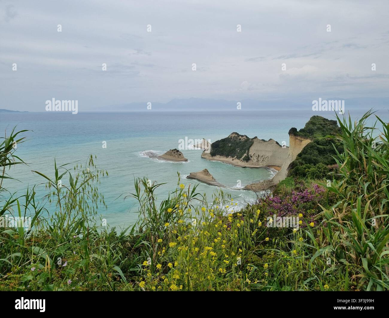 Falaises d'argile blanche et pitons marins du Cap Drastis surplombant une eau turquoise, fleurs sauvages du printemps au premier plan, Peroulades, île de Corfou, Grèce - Image de stock capturée avec un smartphone